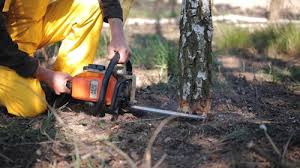 Best Lawn Pest Prevention  in Fall River, WI