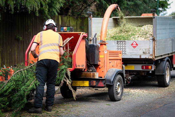 Mulching Services in Fall River, WI